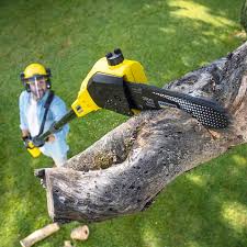 Best Tree Trimming and Pruning  in Goldendale, WA