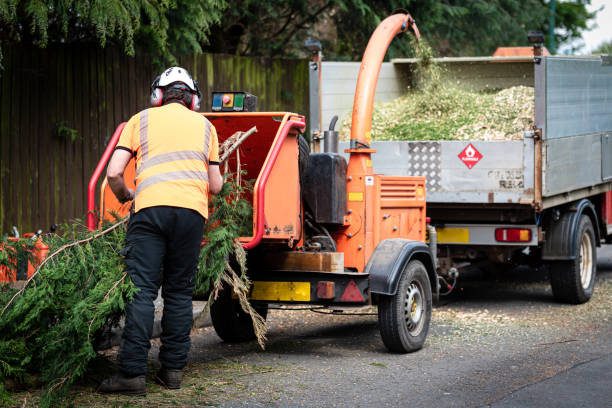 Best Emergency Tree Removal  in Goldendale, WA