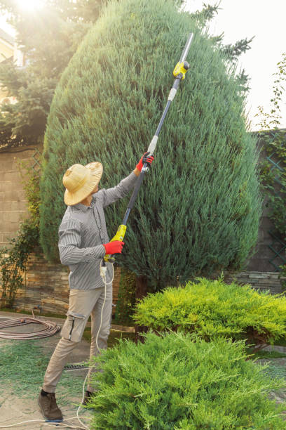 Best Utility Line Clearance  in Goldendale, WA